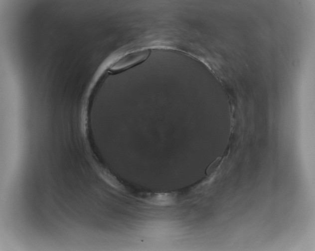 X0000111590056200907301434