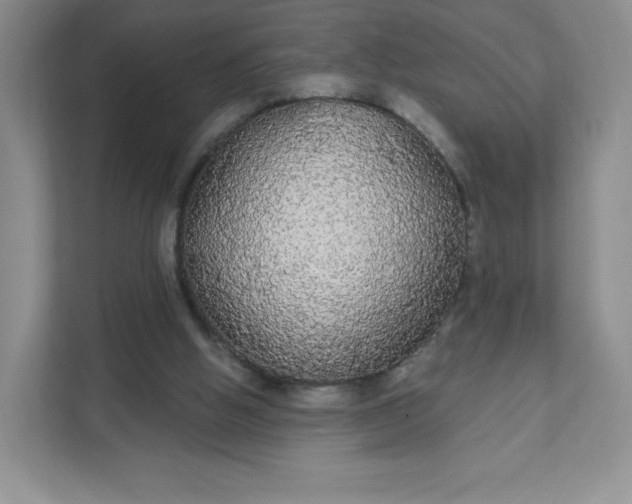 X0000111590058200907301434