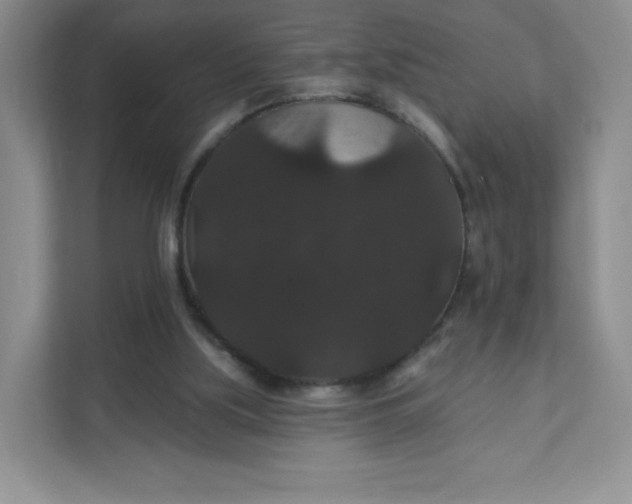 X0000111590059200907301435