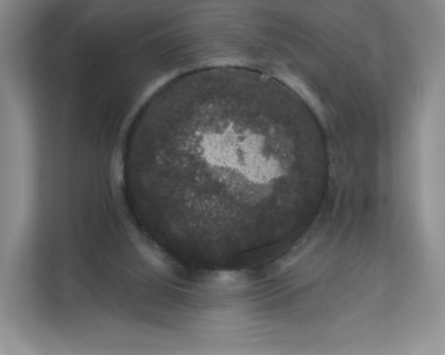 X0000111590060200907301435