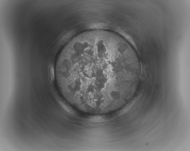 X0000111590061200907301435