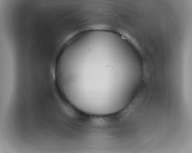 X0000111590062200907301435