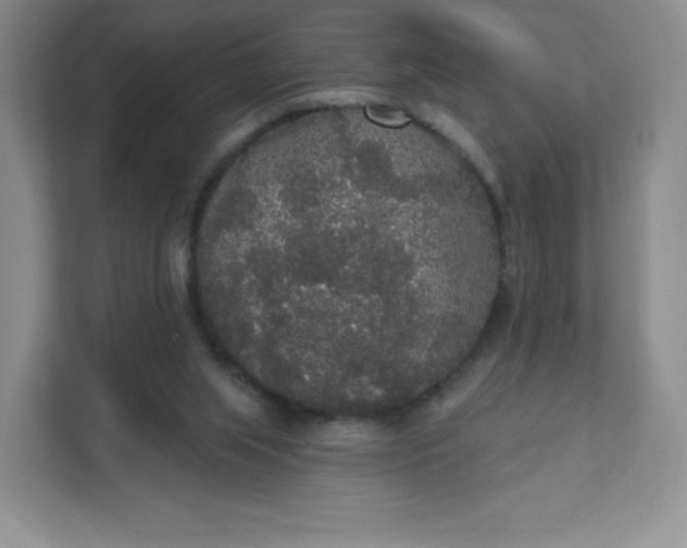 X0000111590063200907301435