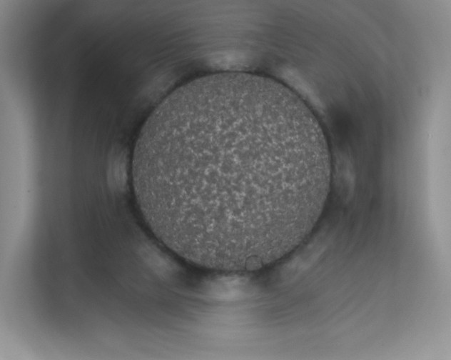 X0000111590065200907301435