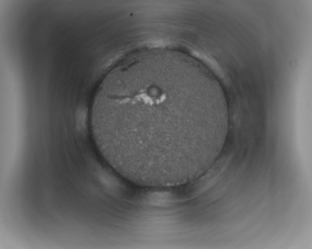 X0000111590066200907301435