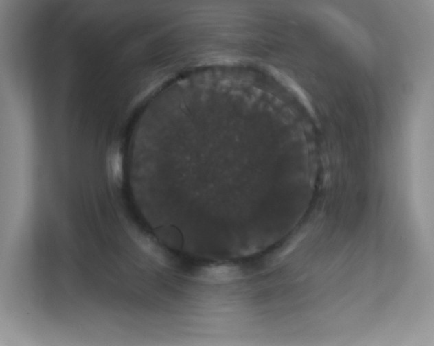 X0000111590067200907301435