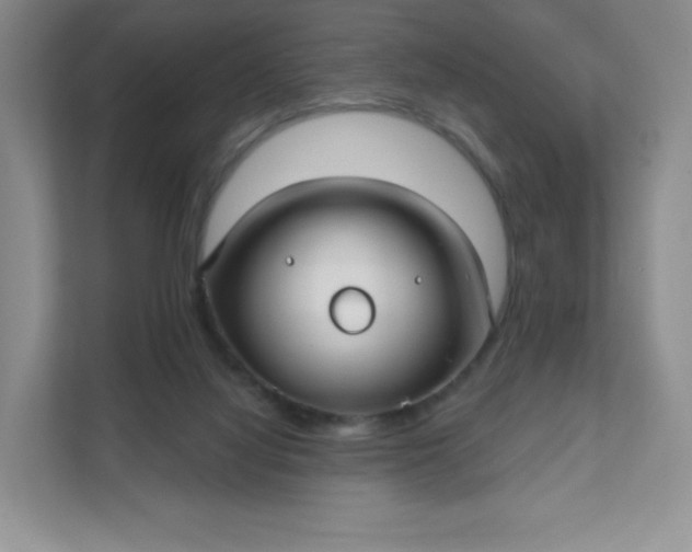 X0000111590068200907301435