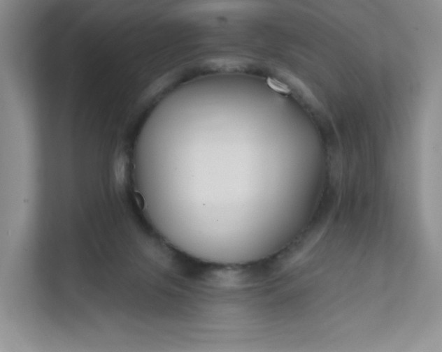 X0000111590071200907301435