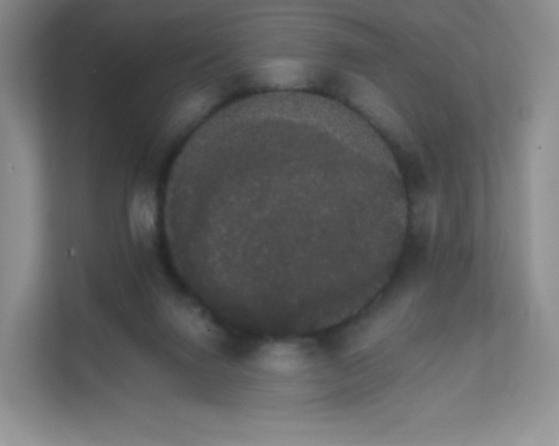 X0000111590072200907301435