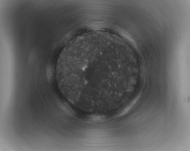 X0000111590073200907301435