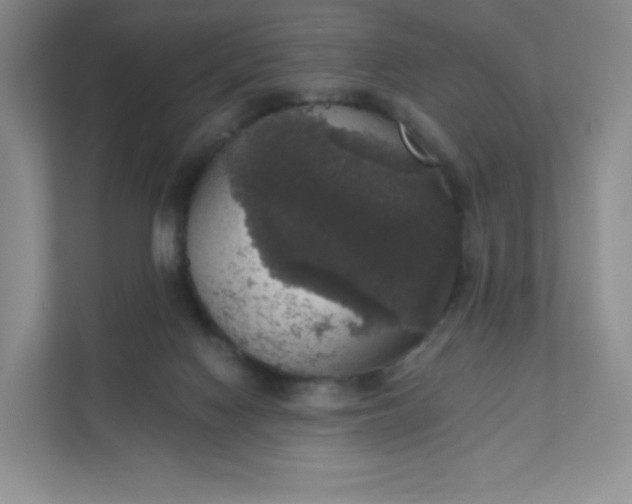 X0000111590074200907301435