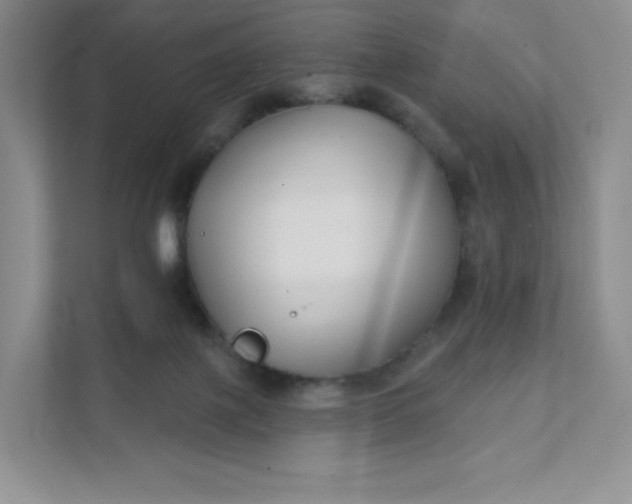 X0000111590075200907301435