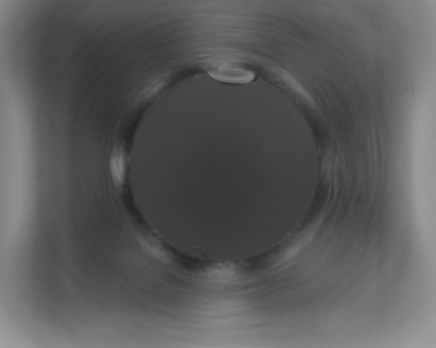 X0000111590076200907301435