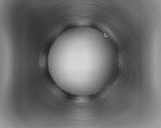 X0000111590077200907301435