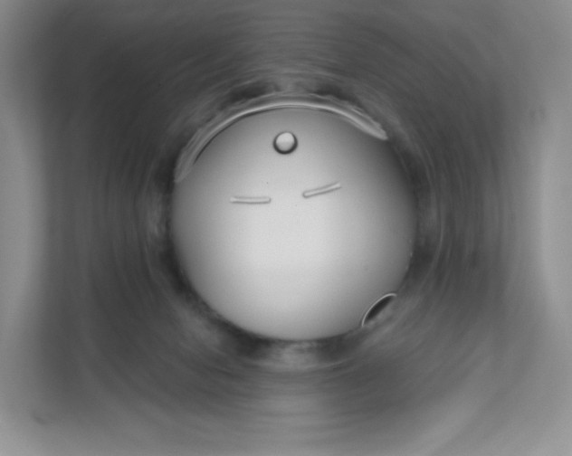 X0000111590078200907301435