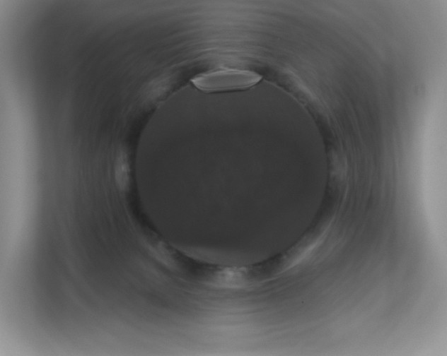 X0000111590080200907301435