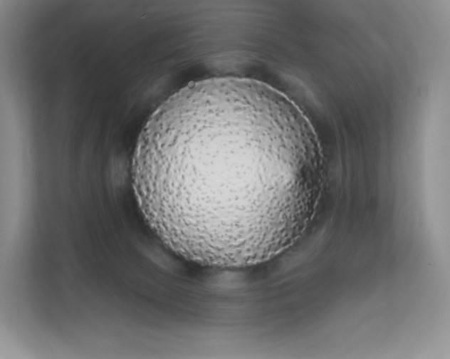 X0000111590081200907301435