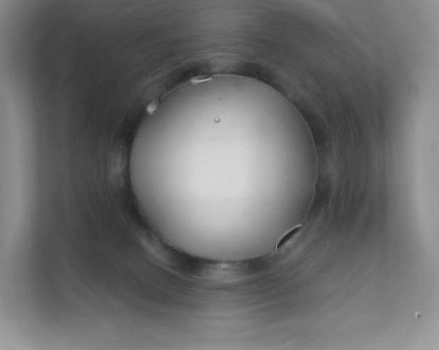 X0000111590082200907301435