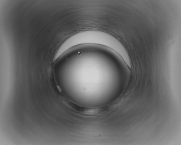 X0000111590084200907301435