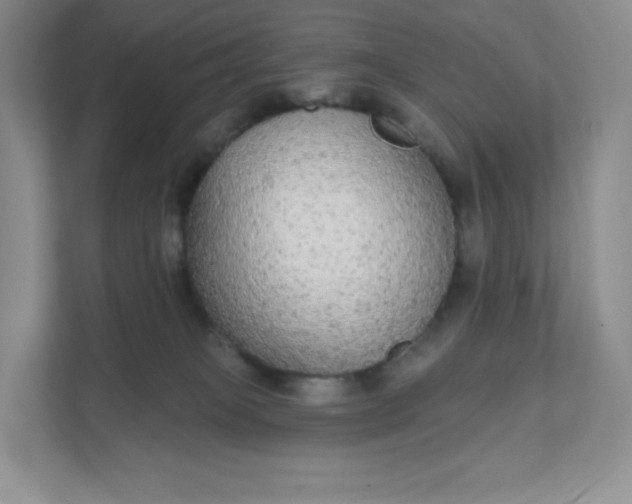 X0000111590085200907301435