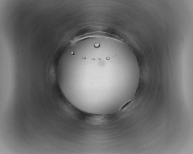 X0000111590086200907301435