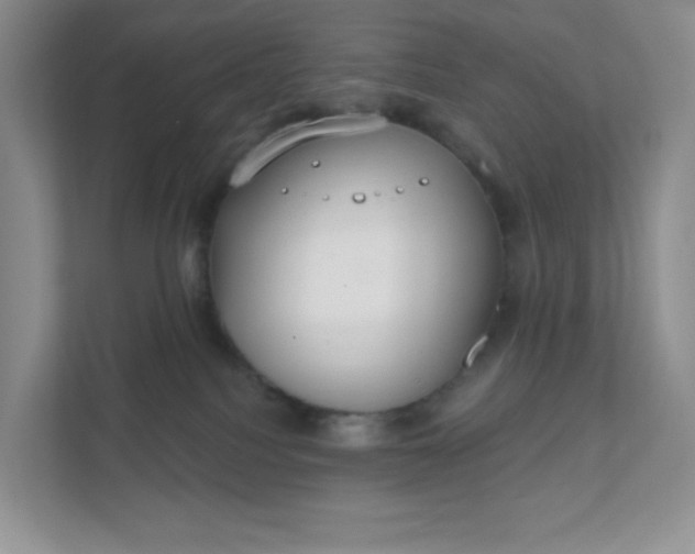 X0000111590088200907301435