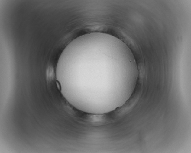 X0000111590089200907301435