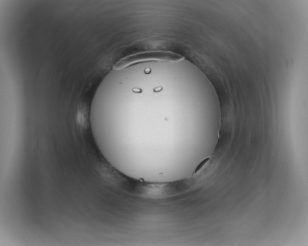 X0000111590090200907301435