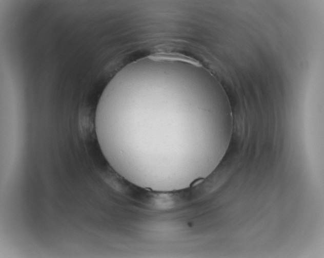 X0000111590091200907301435