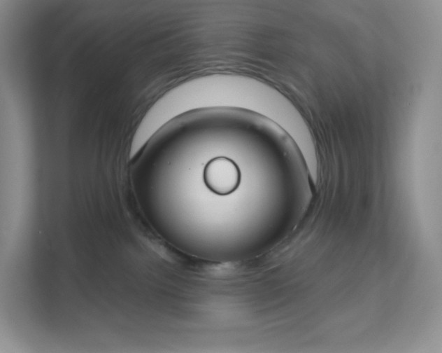 X0000111590092200907301435