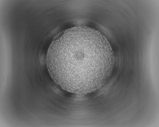 X0000111590093200907301435