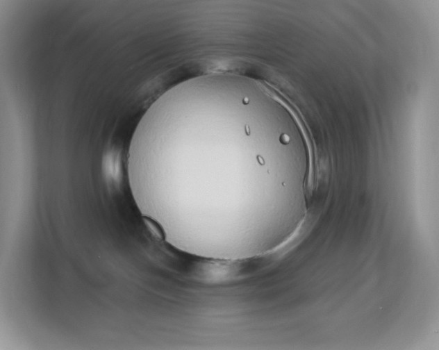 X0000111590094200907301435