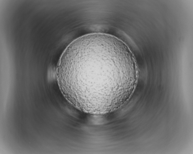 X0000111590095200907301435