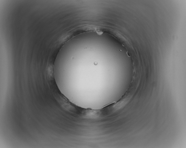 X0000111590096200907301435