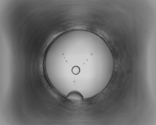 X0000111590098200907301434