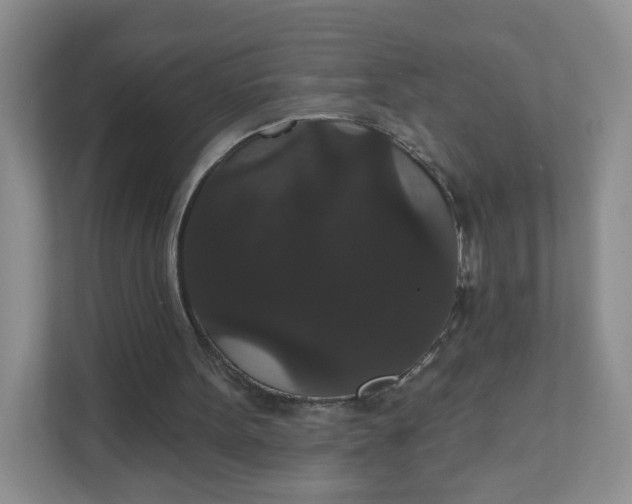 X0000111590099200907301434