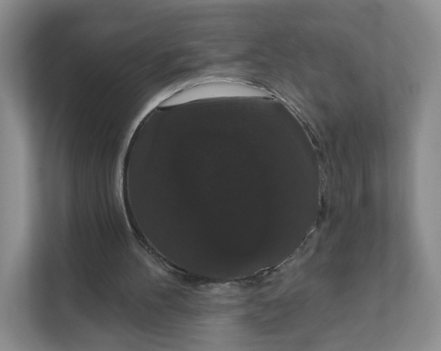 X0000111590100200907301434