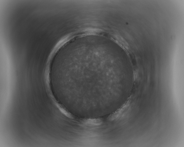 X0000111590101200907301434