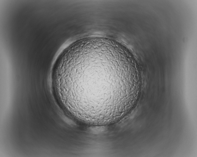 X0000111590102200907301434