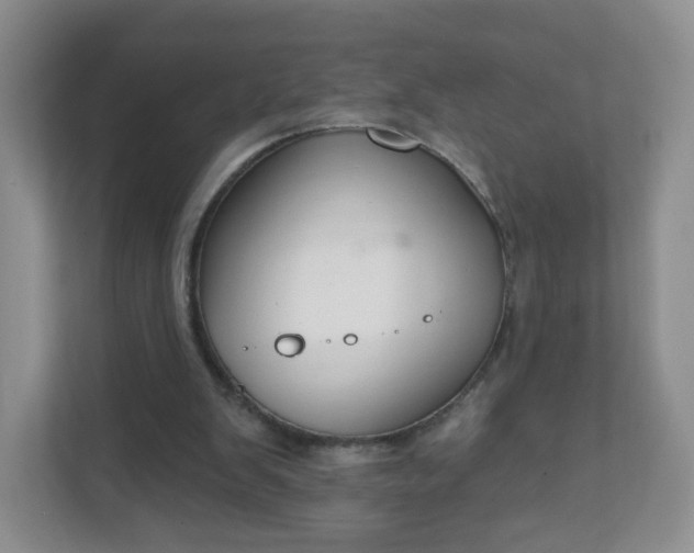 X0000111590103200907301434