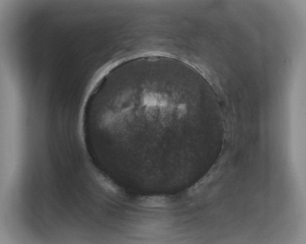 X0000111590104200907301434