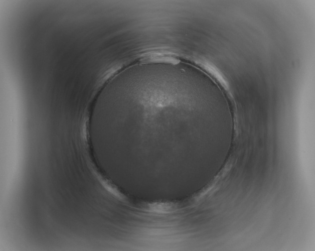 X0000111590105200907301434