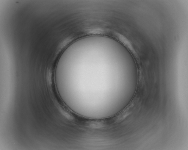 X0000111590106200907301434