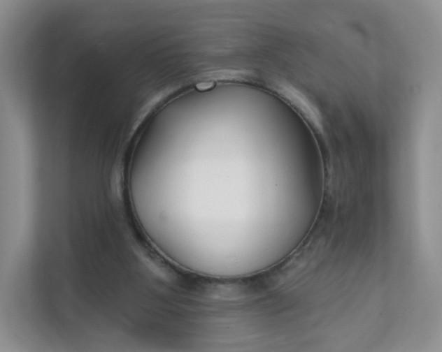 X0000111590107200907301434