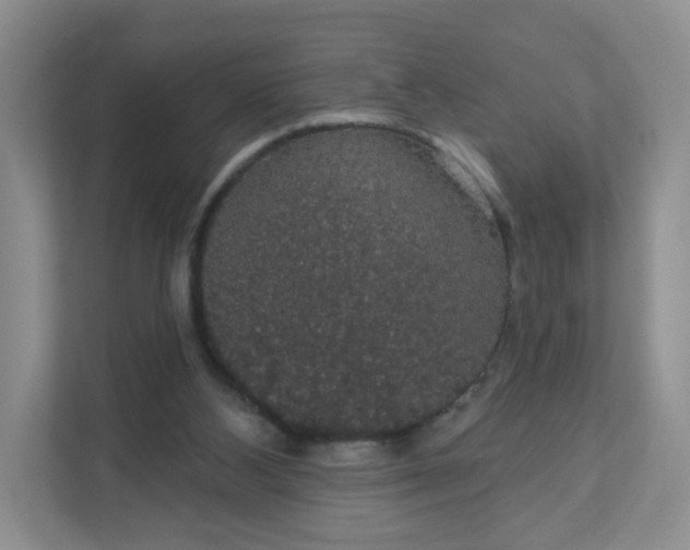 X0000111590108200907301434