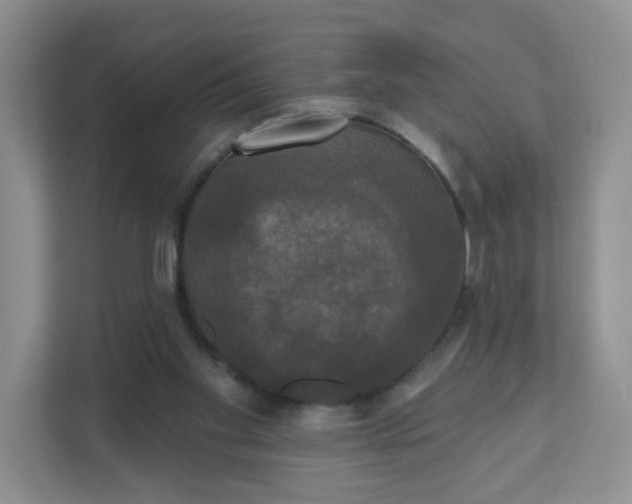 X0000111590109200907301434