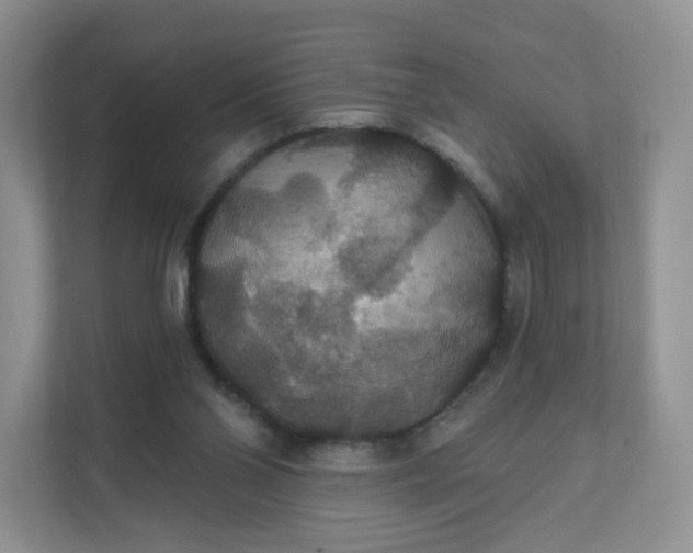 X0000111590110200907301434