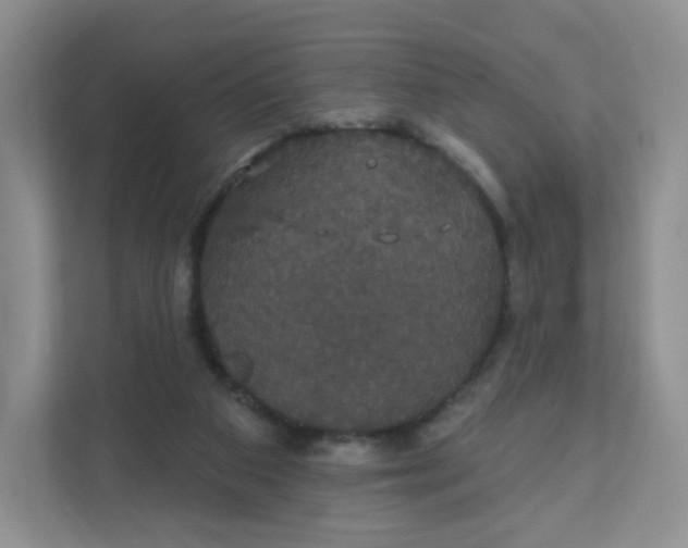 X0000111590113200907301434