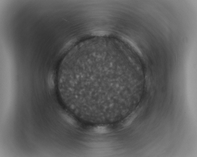 X0000111590114200907301434