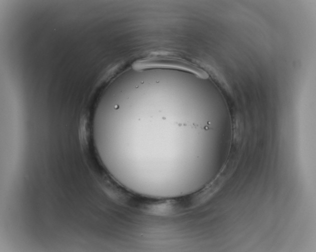 X0000111590116200907301434